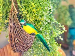 -大宁国际幼儿园(永和东路)