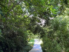 -同里国家湿地公园