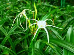 -风云岭森林公园