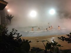 -洪湖悦兮半岛国际温泉度假村