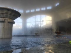 -仁爱团泊湖温泉中心