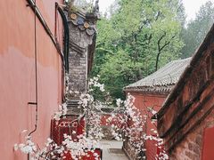 -潭柘寺景区