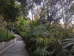 -龙头寺公园