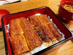 柴藤流鳗鱼饭-本家 柴藤