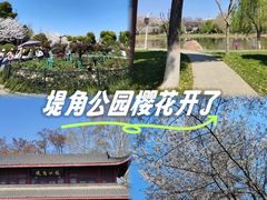 -堤角公园