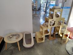 -瞄一喵猫咖(格力海岸店)