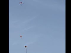 -蠡湖大桥公园