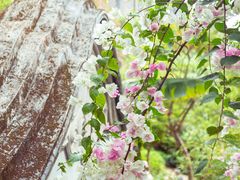 -深圳国际园林花卉博览园