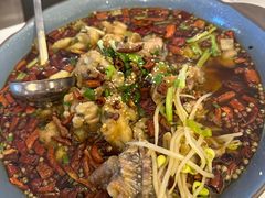-京城·森鸽排档(双井店)