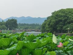 -杭州黄龙洞