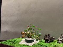 -许家菜(DT51店)