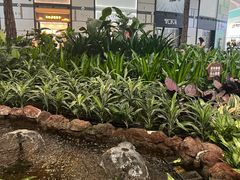 -青岛胶东国际机场