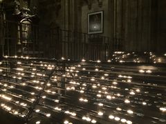 -斯蒂芬主教座堂(Stephansdom)