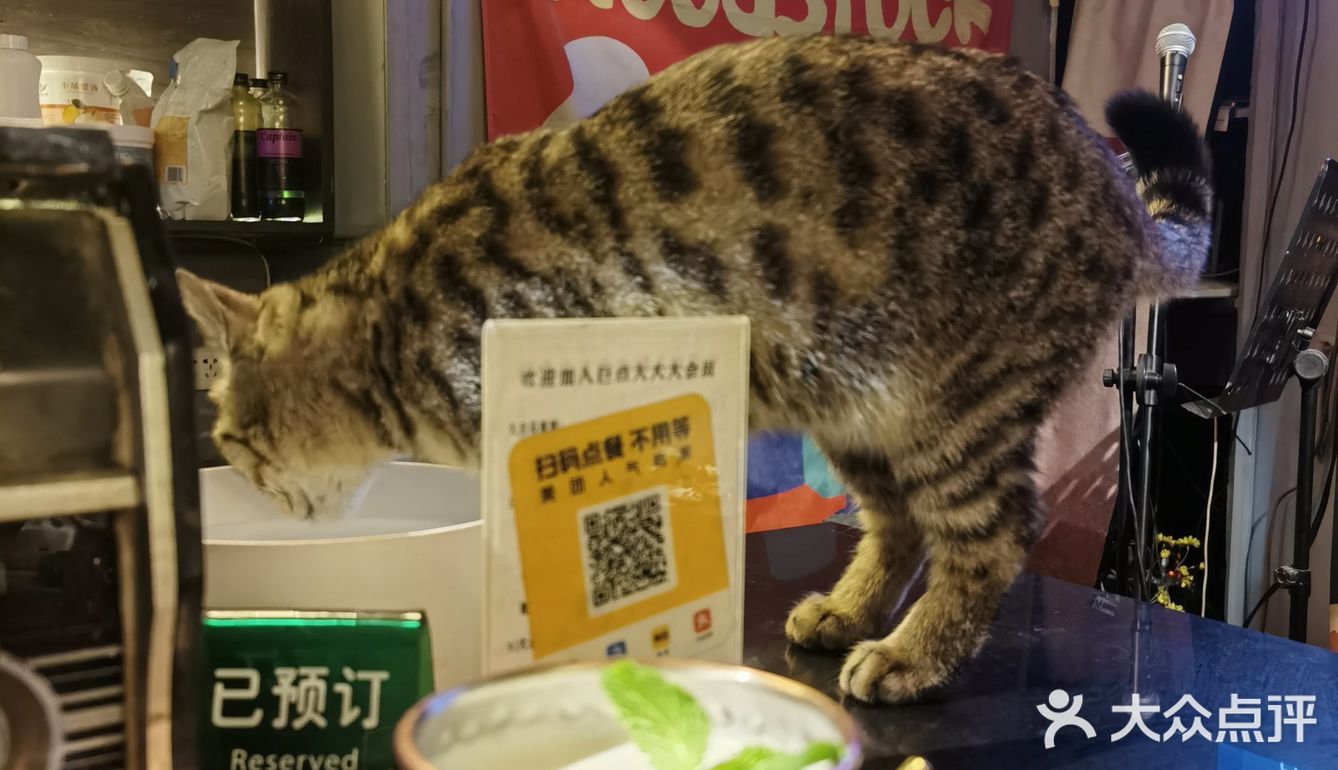 巨点公社