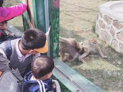 -西安秦岭野生动物园