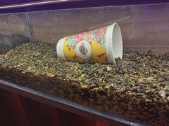 -茶话弄(中贸广场店)