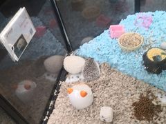 -宠物世家(仲盛世界商城店)