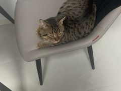 -美迦爱-牙专科·兔科·骨科诊疗中心(北苑店)
