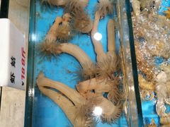 -菲乐餐厅(三十年经营·湖滨路店)