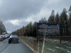 -塞罕坝国家级自然保护区