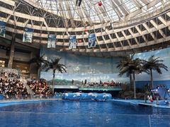 -海合安成都极地海洋公园