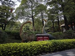 -森波拉奇妙世界