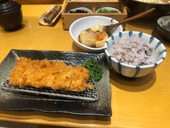 -胜博殿日式炸猪排(西红门店)