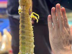 -吴记富苑(朝阳店)