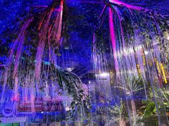 -正佳雨林生态植物园