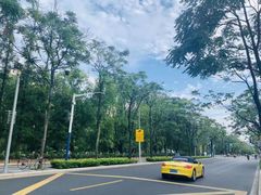 -上海市普陀区疾病预防控制中心