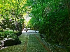-野三坡百里峡景区