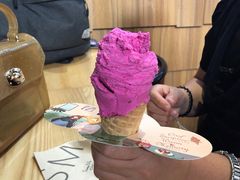 -野人先生现做冰淇淋(北京顺义祥云小镇店)