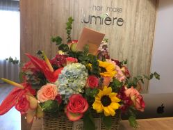 前台-Lumiere hair 路米日系美发