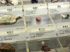 -湖南省地质博物馆