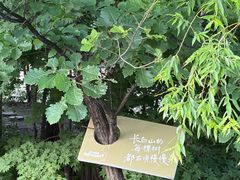 -长白山万达锦华套房酒店