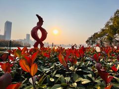 -天鹅湖体育公园