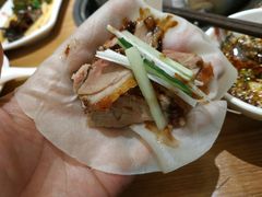 -守柴炉烤鸭(中海国际店)