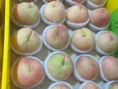 -老袁家蜜桃农场·阳山水蜜桃