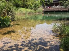-黄公望隐居地