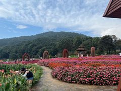-广州市石门国家森林公园