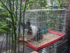 -锦尚阁烤鱼•天津菜(宣武门胡同店)