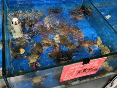 -顶之鲜海鲜餐厅
