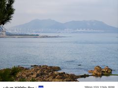 -小麦岛公园