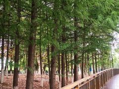 -月湖风景区