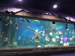 -梦幻海洋王国(吾悦广场张家港店)