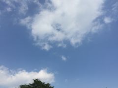 -仁爱团泊湖温泉中心