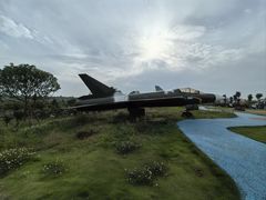 -空港花田景区