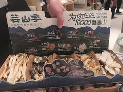 菌菇四拼-芸山季·云南野生菌火锅(南翔印象城MEGA店)
