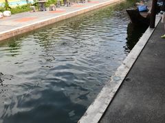 -水都餐厅
