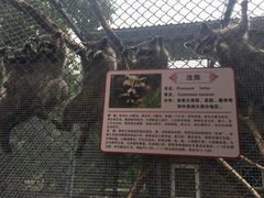 -西安秦岭野生动物园